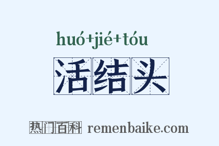 活结头是什么意思的图片